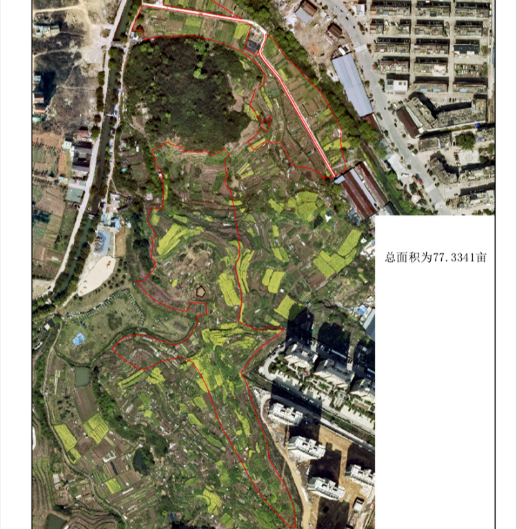 江东街道沙溪村集体土地流转公告