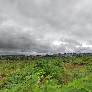 稠江街道金村（上金）关沿塘、乌里塘畈地块土地流转